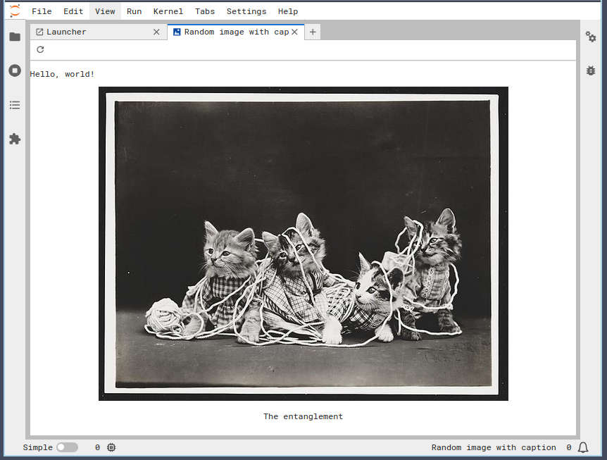 A JupyterLab widget displaying a random cat picture and caption, with a refresh button in the toolbar.